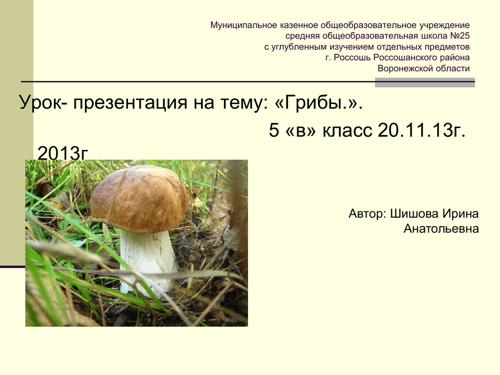 Презентация грибы 5. Тема урока грибы. Презентация на тему грибы. Тема урока по грибы. Грибы общая характеристика шляпочных грибов.
