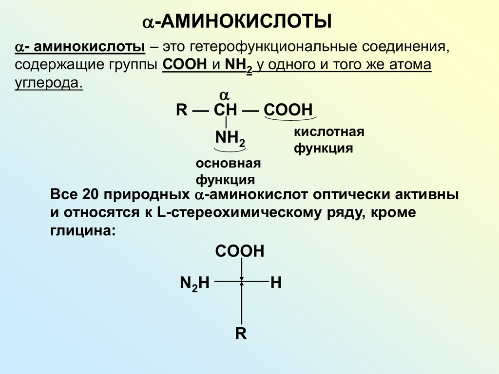 Гца аминокислота. Общая структура α-аминокислот. Соединение 4 аминокислот. Природные Альфа аминокислоты. Альфа l аминокислоты.