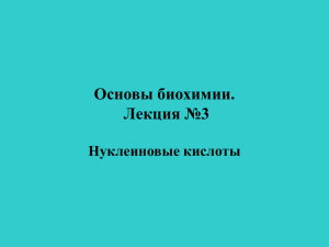 3 нуклеин.кислоты строение