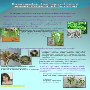 Видовое разнообразие, биологические особенности и Alternaria Основные направления научно-исследовательской работы: