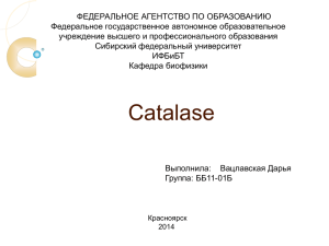 Фермент Каталаза - Сибирский федеральный университет