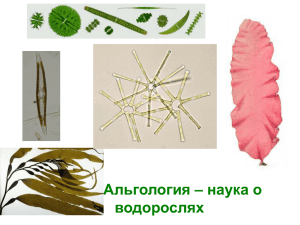 Альгология – наука о водорослях
