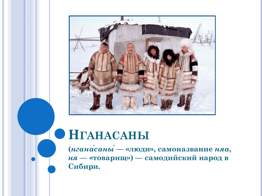 Нганасаны самый северный народ евразии. Народ нганасаны презентация. Народ нганасаны кратко. Нгасаны народ традиции. Нганасаны на карте.