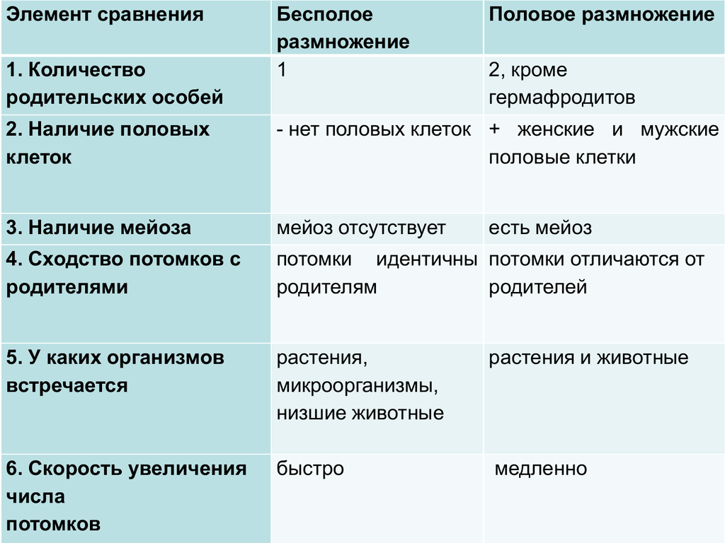 Отличия размножения. Наличие половых клеток в бесполом размножении. Сравнительная таблица половое и бесполое размножение. Количество родительских особей в бесполом размножении. Число родительских особей бесполое и половое размножение.