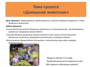 Домашние животные - Детский сад № 373