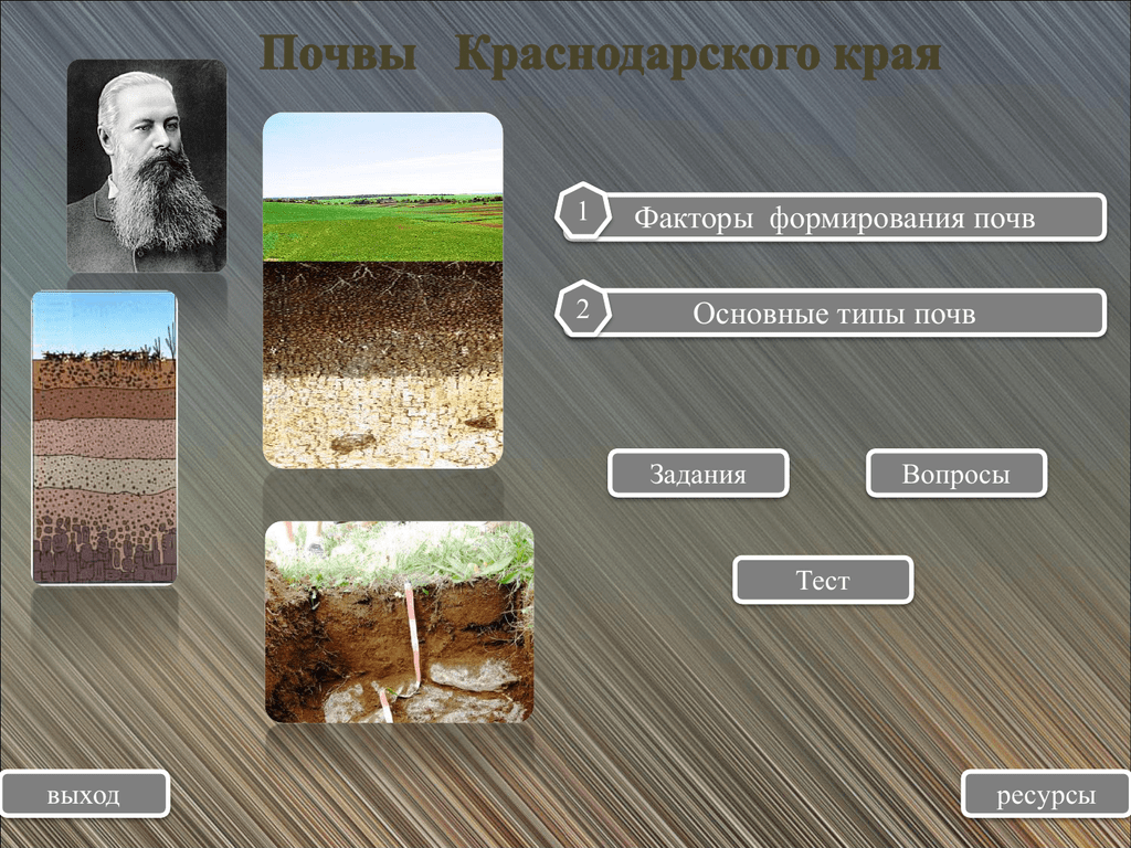 О каком свойстве почвы идет речь. Почва задания. Виды почв. Основные типы почв. Формирование почвы.