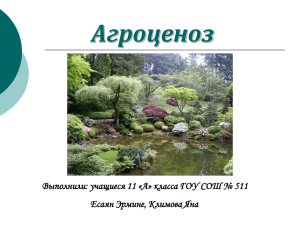Агроценоз - art.ioso.ru, 2009