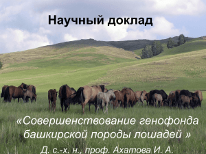 Научный доклад «Совершенствование генофонда башкирской породы лошадей »