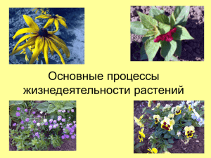 Основные процессы жизнедеятельности растений