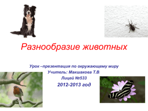 Разнообразие животных 2013 год 2012- Урок –презентация по окружающему миру