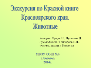 Экскурсия по Красной книге Красноярского края. Животные