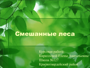 Смешанные леса Курсовая работа Кирилловой Елены Анатольевны Школа №127
