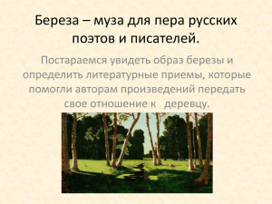 Береза – муза для пера русских поэтов и писателей.