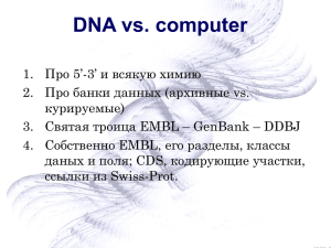 ДНК в компьютере