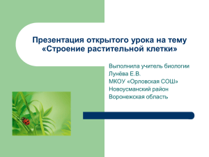 Презентация открытого урока на тему «Строение растительной клетки» Выполнила учитель биологии Лунёва Е.В.