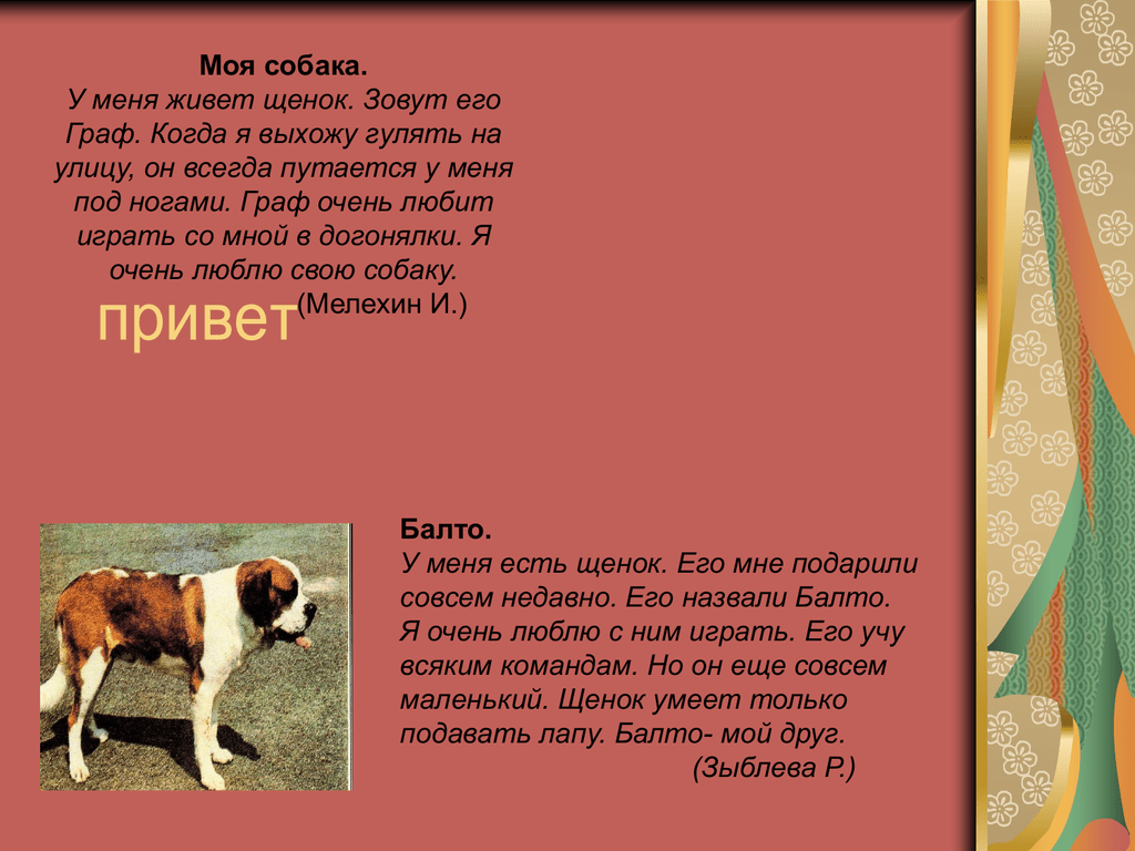 Описание собаки 5 класс русский язык. Сочинение про собаку. Рассказ про любимых питомцев. Не большое сочинение про собаку. Небольшой рассказ о собаке.