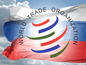 Стратегия российского бизнеса в условиях вступления в ВТО