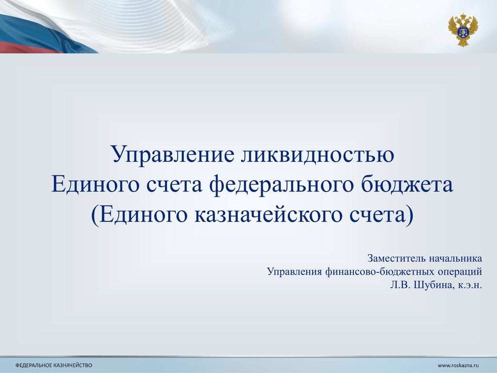 Единый бюджет. Управление ликвидностью единого счета бюджета. Единый счет федерального бюджета. Управление ликвидностью единого счета бюджета осуществляет. Единый казначейский счет.