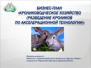 Бизнес-план «Кролиководческое хозяйство (разведение