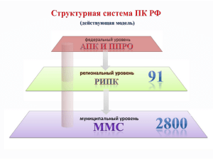 Презентация Надежды Дерзковой "Структурная система
