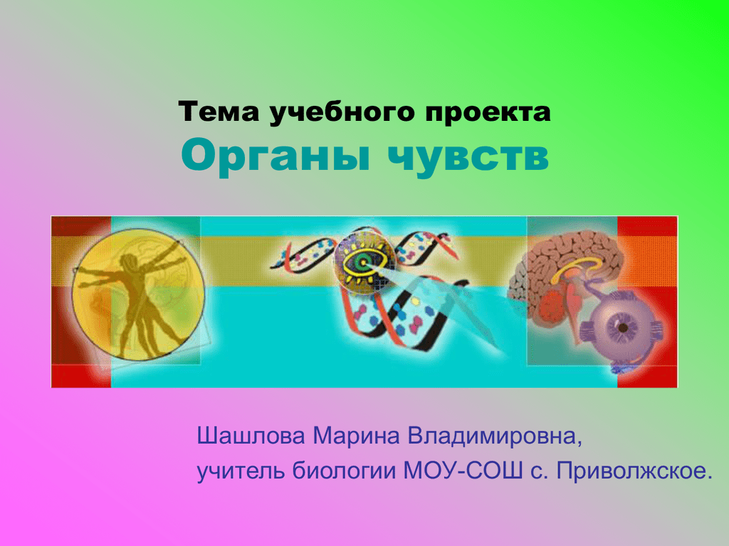 Органы чувств 5 класс 8 вид природоведение презентация