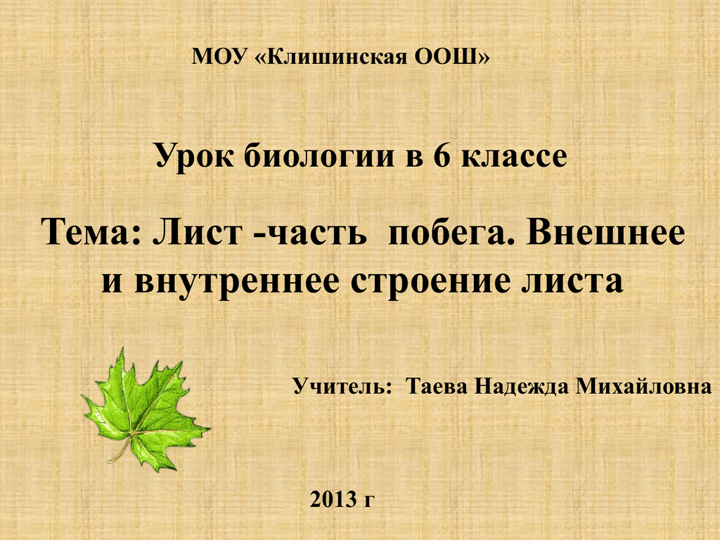 Лабораторная работа внешнее строение листа 6 класс. Внешнее строение листа 6 класс биология таблица. Проверочная работа внешнее строение листа. Уроки биологии 6 класс тема внешнее строение листа. Лист продвижения по уроку биологии 6 класс тема лист.