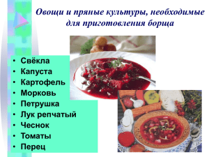 Овощи и пряные культуры, необходимые для приготовления борща Свёкла Капуста