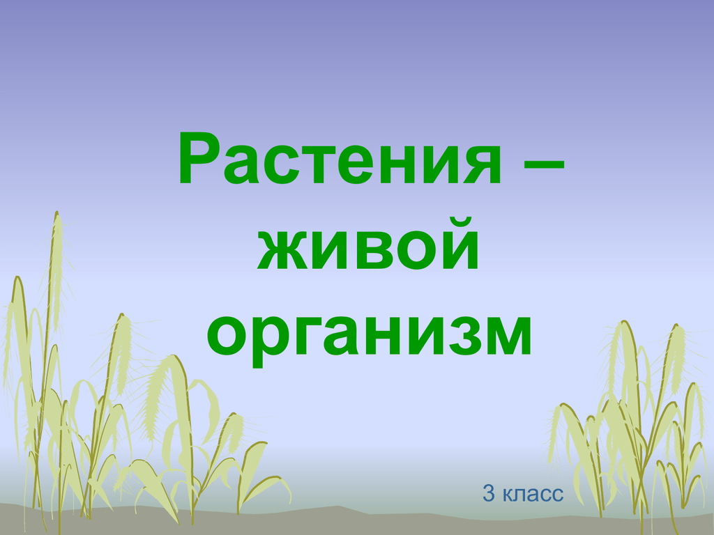 Почему растения живые организмы