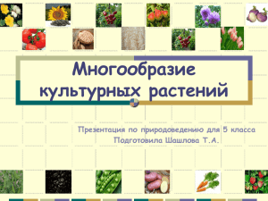 Многообразие культурных растений