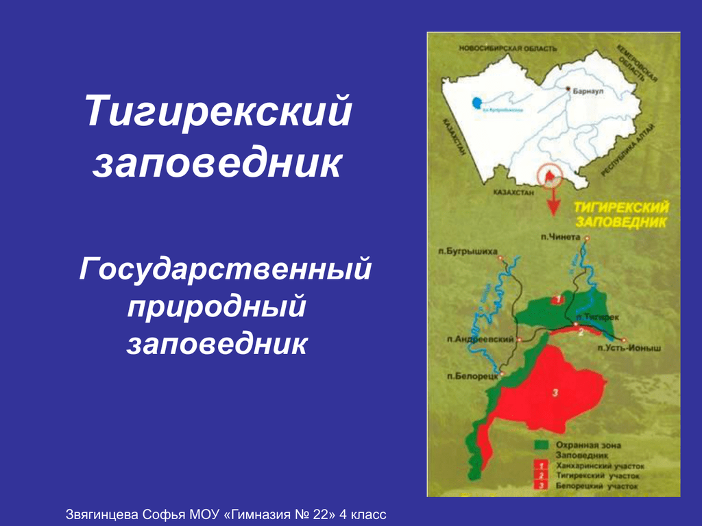 Тигирекский заповедник презентация