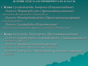 Lycopodiophyta