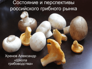 Российский грибной рынок 2014