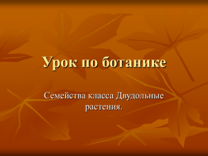 Урок по ботанике Семейства класса Двудольные растения.