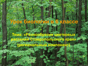 Урок биологии в 6 классе Тема: «Разнообразие цветковых растений Ставропольского края» (региональный компонент)