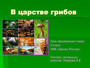 В царстве грибов Урок окружающего мира 3 класс УМК «Школа России»