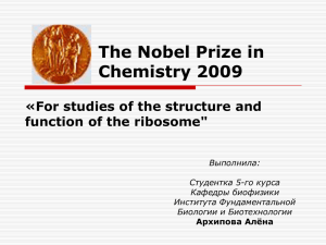 For studies of the structure and function of the ribosome
