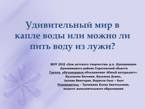 Удивительный мир в капле воды или можно ли пить воду из лужи?