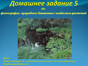 №1 фотографии  природных биотопов с изобилием растений Пруд.