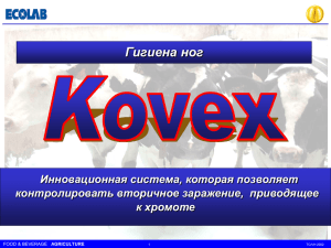 KOVEX General Presentation