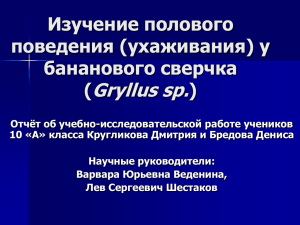 Изучение полового поведения (ухаживания) у бананового