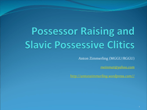 Possessor Raising and Possessive Clitics in the