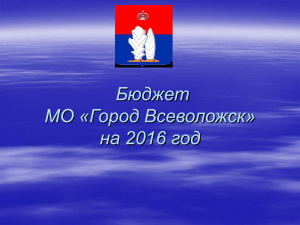Муниципальные программы МО «Город Всеволожск» на 2016 год