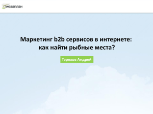 Маркетинг b2b сервисов в интернете: как найти рыбные места? Терехов Андрей