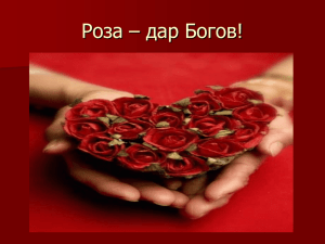 Роза – дар Богов!