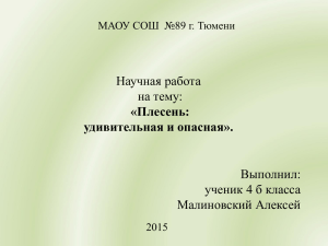 Плесень - Официальный сайт МАОУ СОШ № 89 г. Тюмени