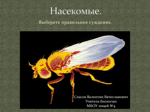 Выберете правильное суждение. Насекомые. Спасов Валентин