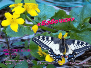 Экологический проект "Бабочки"