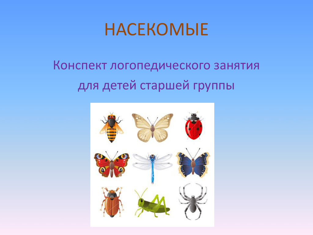 Тема насекомые во второй. Насекомые занятие для дошкольников. Занятие насекомые в старшей группе. Насекомые конспект для дошкольников. Логопедические занятия насекомые для дошкольников.