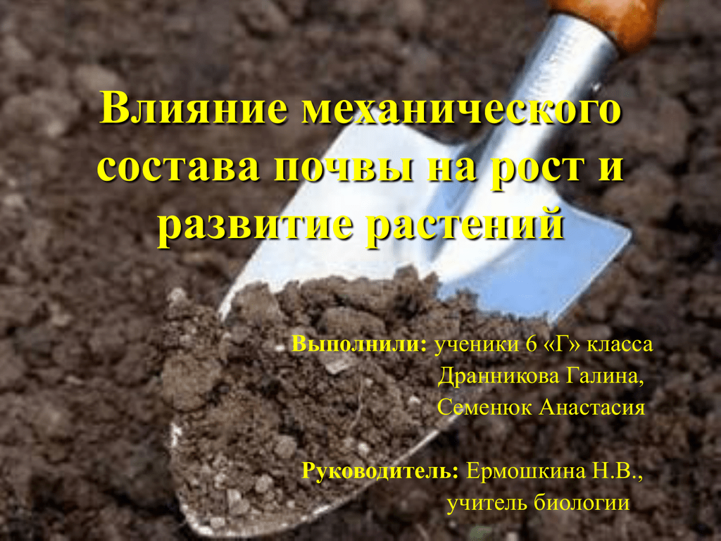 Влияние почвы на рост растений 9 класс проект