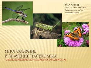 "Многообразие и значение насекомых", 6 класс